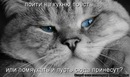 Вадім Романюк фотография #48 (источник - https://vk.com/id146365668)