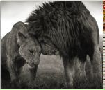 Фотография Альмужниной Анны