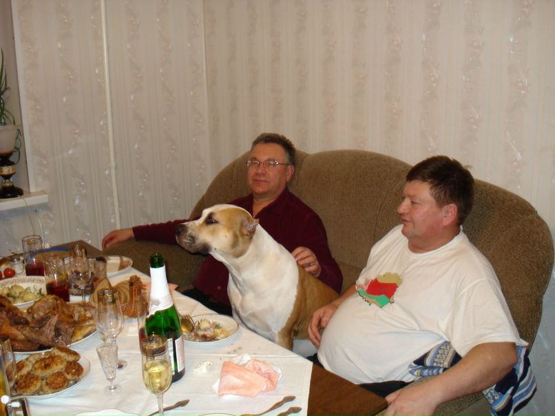 Антон Василенко фотография #25