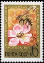 Братство Бджолярів фотография #33 (источник - https://vk.com/id131236971)