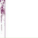 Наталя Синіцька фотография #47 (источник - https://vk.com/id48069205)