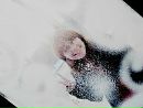 Саша Имко фотография #21 (источник - https://vk.com/id101288613)