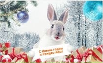 Фотография Куприянова Алексея