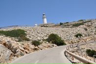 Natalie Baranova фотография #15 (источник - https://vk.com/id490594)