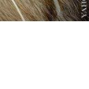 Діма Бричка фотография #40 (источник - https://vk.com/id137975523)