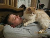 Фотография Ермилова Алексея