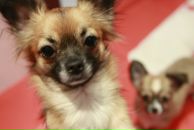 Фотография Григорьевой Татьяны