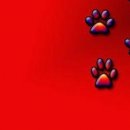 Аліночка Заблоцька фотография #33 (источник - https://vk.com/id153501016)