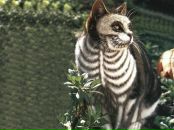 Фотография Светланы Светланы