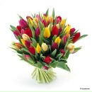 Фотография Мигачева Егора