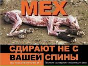 Фотография Бахвалова Станислава