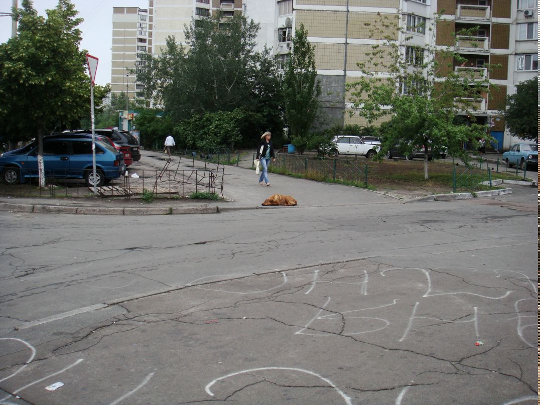 Александр Яковчук фотография #36