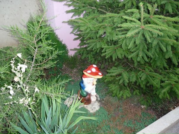 Виктор Левченко фото №31