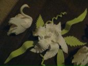 Лєнуля Тарасюк фотография #14 (источник - https://vk.com/id21858758)