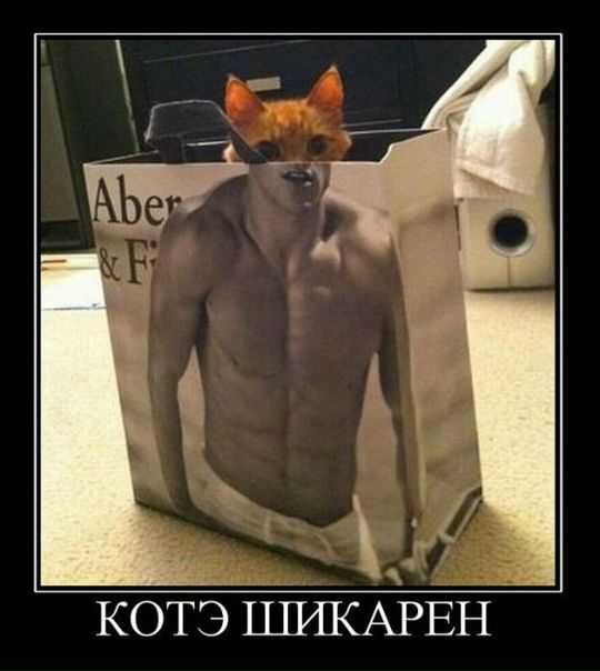 Сергей Гудков фото №46