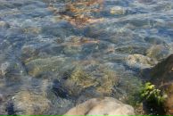 Дмитрий Ященко фотография #23 (источник - https://vk.com/id1092500)