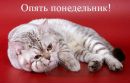 Вася Вакарчук фотография #30 (источник - https://vk.com/id137861492)