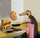 Фотография Фомочкиной Анастасии