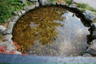 Софья Романенко фотография #50 (источник - https://vk.com/id10241677)