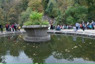 Софья Романенко фотография #40 (источник - https://vk.com/id10241677)