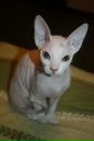 Фотография Ершовой Анны
