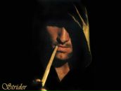 Фотография Сибирцева Алексея