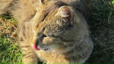 Фотография Ревенок-Тимофеевой Екатерины