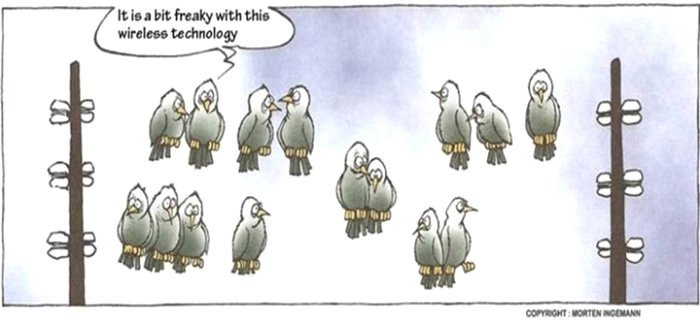 Андрей Ротарь фотография #4