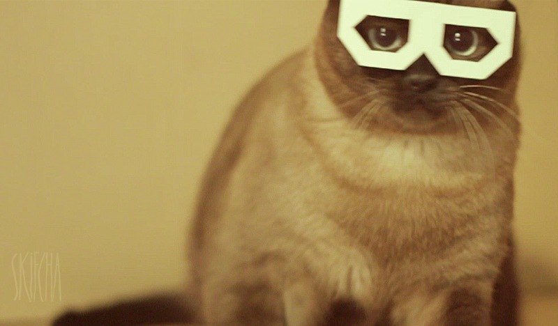 Sam Симакин фотография #35