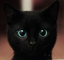 Фотография Булыгиной Екатерины