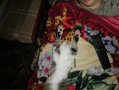 Владислав Розторгуєв фотография #27 (источник - https://vk.com/id59074432)