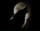 Фотография Гуляренко Романа