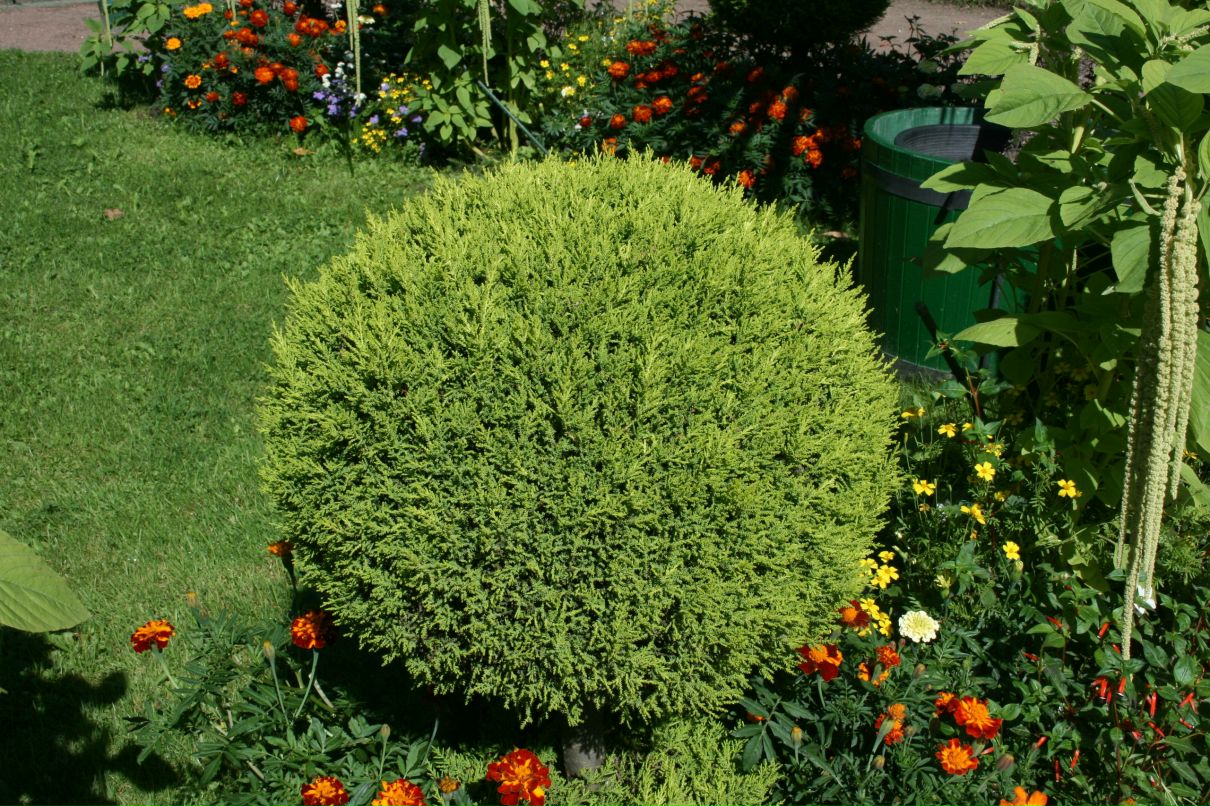 Валерия Святогорова фотография #50