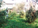 Софія Влашин фотография #7 (источник - https://vk.com/id141738902)