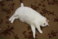 Фотография Сидоровой Екатерины