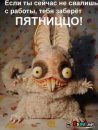 Фотография Саетова Ришата