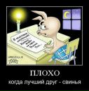 Білогаш Сергій фотография #19 (источник - https://vk.com/id32135284)