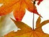 Андрій Квасниця фотография #8 (источник - https://vk.com/id23147799)