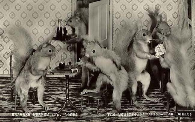 Игорь Курзаев фотография #14