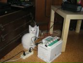 Фотография Мельникова Семена