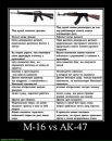 Митя Иванов фотография #30 (источник - https://vk.com/id1371260)