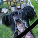 Фотография Frolova Марии