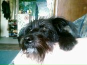 Фотография Лисуновой Евгении