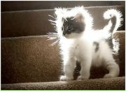 Фотография Лёшкиной Ульяны