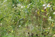 Андрій Світлицький фотография #28 (источник - https://vk.com/id2321783)