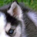 Сергій Юзва фотография #19 (источник - https://vk.com/id41750587)