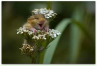 Фотография Маруевой Татьяны