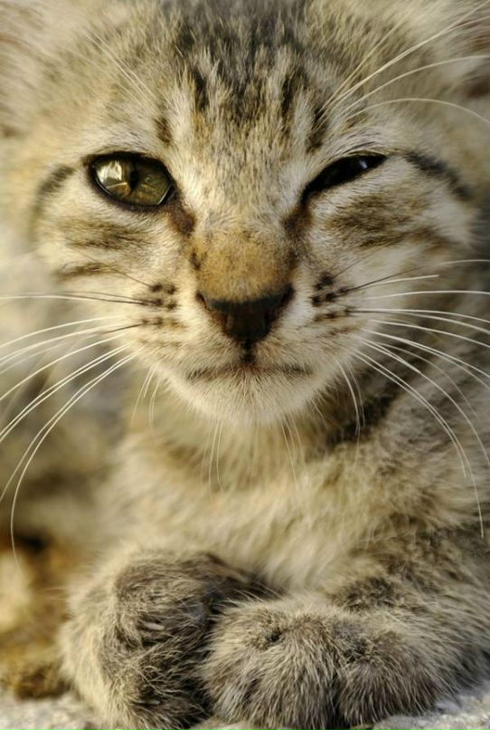 Павел Коваленко фотография #30