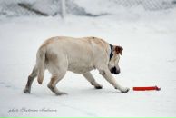 Фотография Цветковой Екатерины