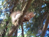 Фотография Солгаловой Ярославны